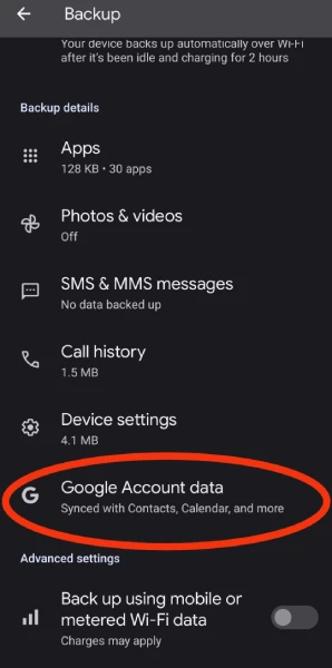 وارد شدن به بخش google account data