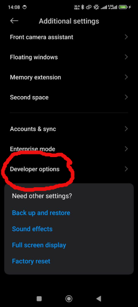 developer options