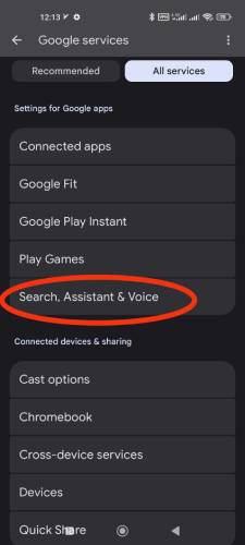 Search, Assistant & Voice